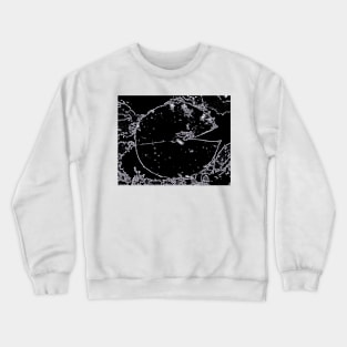 Pond Vision Crewneck Sweatshirt